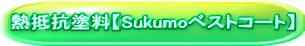 熱抵抗塗料【Sukumoベストコート】 